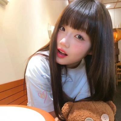 爱猫之城